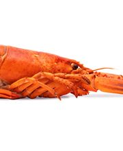 Pescados Goyo imagen 12