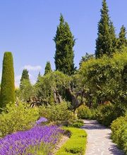 Die Reisegalerie GmbH Bild 4