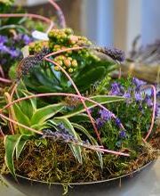 Blatt & Blüte | natürlich kreativ Bild 1