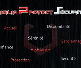 VP Sécurité Privée image 11