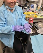 Lake Charles Dental Assistant School image 5