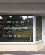 NOM D UN POIL image 4