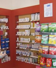 Apotheke Große | In der Stadtmitte Bild 2