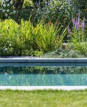 GRIMM garten gestalten GmbH Bild 9