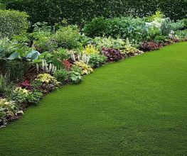 Mutter Gartenbau Bild 1