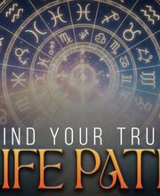 Indian Astrologer & Psychic LLC image 13