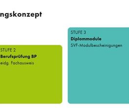 Schweizerische Vereinigung für Führungsausbildung SVF - ASFC Bild 1