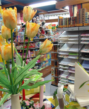 Papier Pfeiffer Bild 13