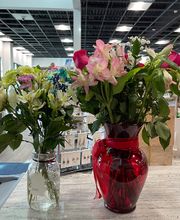 Dale's Pharmacy image 11