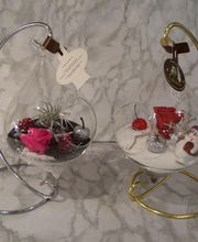 Le Plein Des Sens image 5