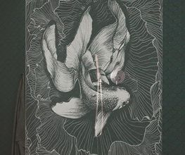 L.Steiner Innenausbau UG Bild 6