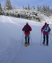 Funiculaire Saint-Imier-Mont-Soleil SA Bild 10
