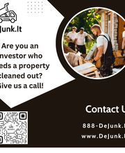 DeJunk.It image 16