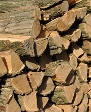 Horticulteur-paysagiste Plomb Sàrl Bild 2