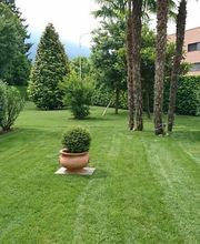 Wistaria Sagl Bild 2