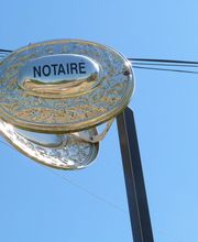 ETUDE COMPAGNE ANDRE image 8