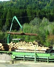 Les Résineux Francs-Comtois image 2