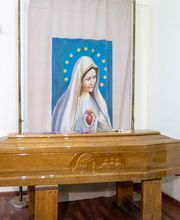 Gallery Professionale