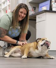 Ridgeview Animal Hospital image 4