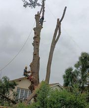 Au Pic de l'Arbre image 1