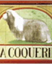 La Coquerie Pension pour Chiens image 2