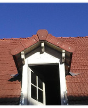 Robin Sébastien image 5