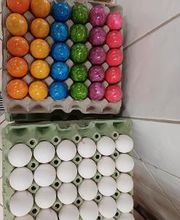 Thieles Hofladen Bild 19