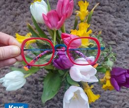 Opticien Krys image 2