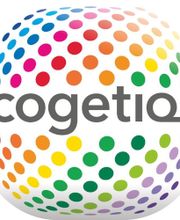 Cogetiq image 7