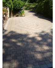 Kiesel Albert Bild 3