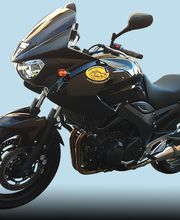 Thétaz Olivier Bild 2