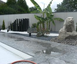 AEV Jardin image 13
