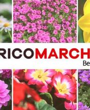 Bricomarché Bellac image 2