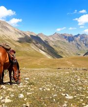 Les Sabots de Vénus image 16