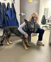 Cainhoy Veterinary Hospital image 3