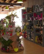 Au Quai des Fleurs image 4