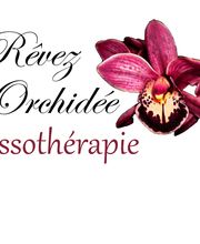 Rêvez D'orchidée image 1