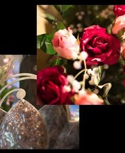 Baudrion Pompes Funèbres image 7