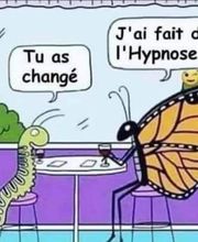 Dorine Javois Richardson Bild 6