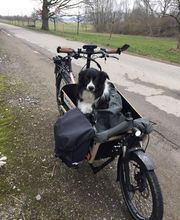 Kocher Bike Bern | Riese & Müller Erlebnis-Store | Verkauf & Service Bild 8