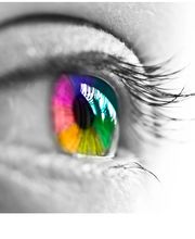 Eisele Optik e.K. Bild 6