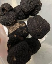 Petit Jacques image 4