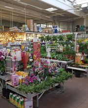 HELLWEG - Die Profi-Baumärkte Oberhausen Bild 8