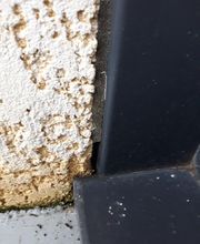 AIN FO - EXPERTISE image 10