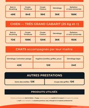 MOUSTACHE Toilettage image 2