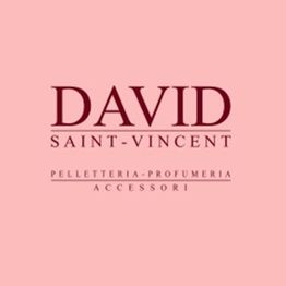 Profumeria DAVID logo