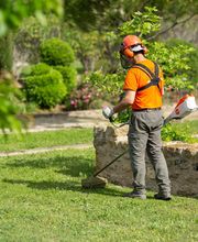 Pépinière Jolijardin image 12