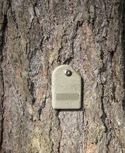 IML Instrumenta Mechanik Labor Electronic GmbH Bild 6