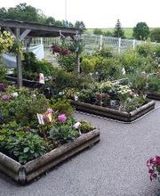 Bricomarché Commercy image 10