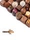 Chocoola